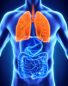 lung cleanse herbs 