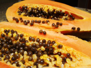 Papaya Seeds parasite cleanse diet