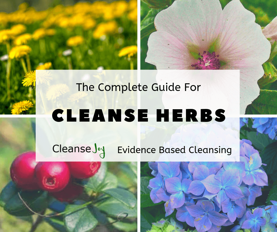 3 Day Juice Cleanse - Cleansing Herbs