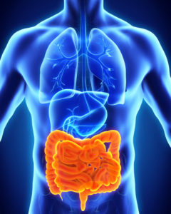 Gut Cleanse Colon Cleanse