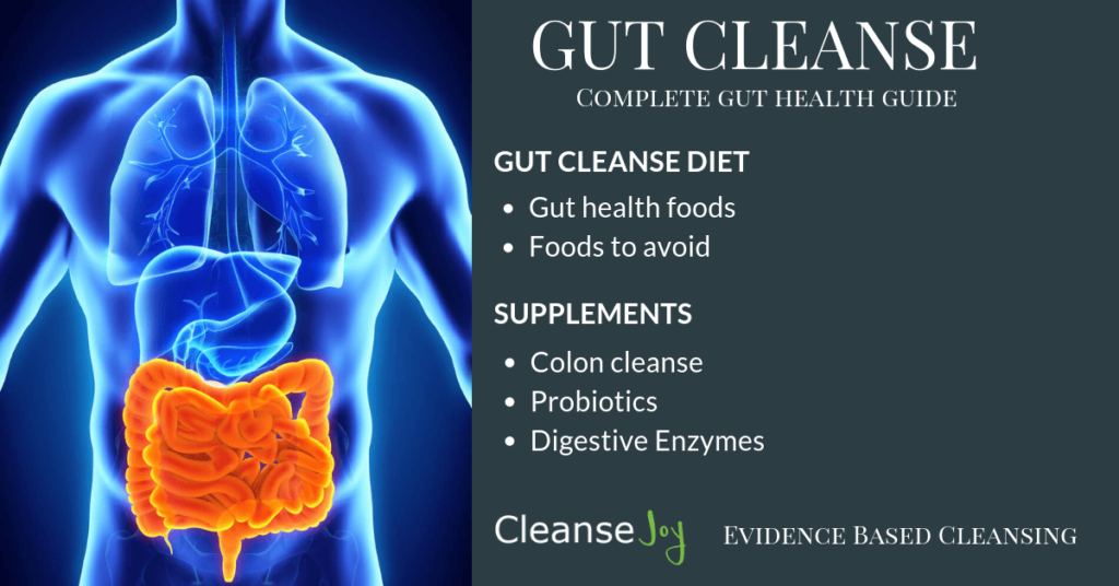 Gut Cleanse Plan