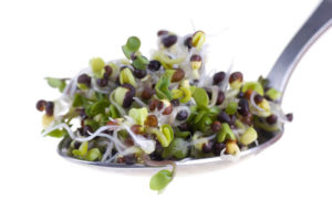 Broccoli Sprouts Detox Foods