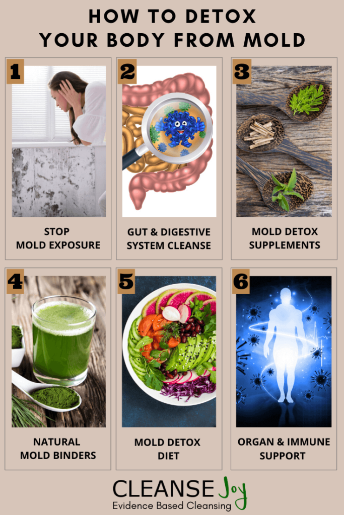 How to Detox Your Body from Mold