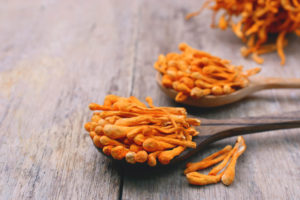 How to Increase Blood Oxygen Levels Cordyceps Mushroom