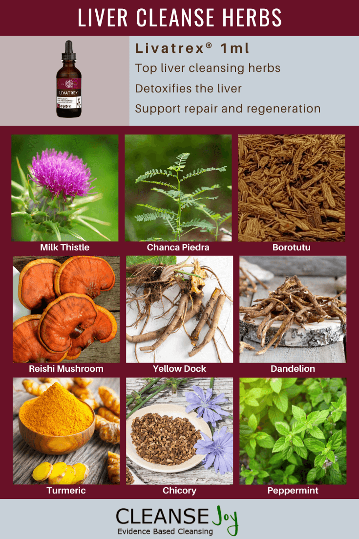 Liver Cleanse Herbs: Organic Milk Thistle (seed), Wildcrafted Chanca Piedra (herb), Wildcrafted Borotutu (root bark), Organic Reishi Mushroom, Organic Yellow Dock (root), Organic Dandelion (root), Organic Turmeric (root), Organic Chicory (Root), Organic Peppermint (leaf)