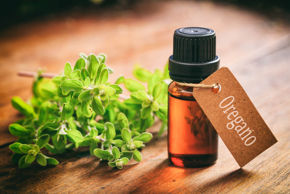Mediterranean Oregano Oil herbs that kill parasites